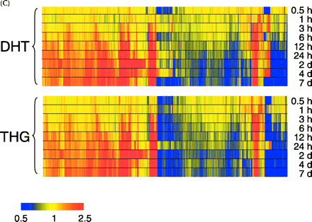 genes affected by androgens