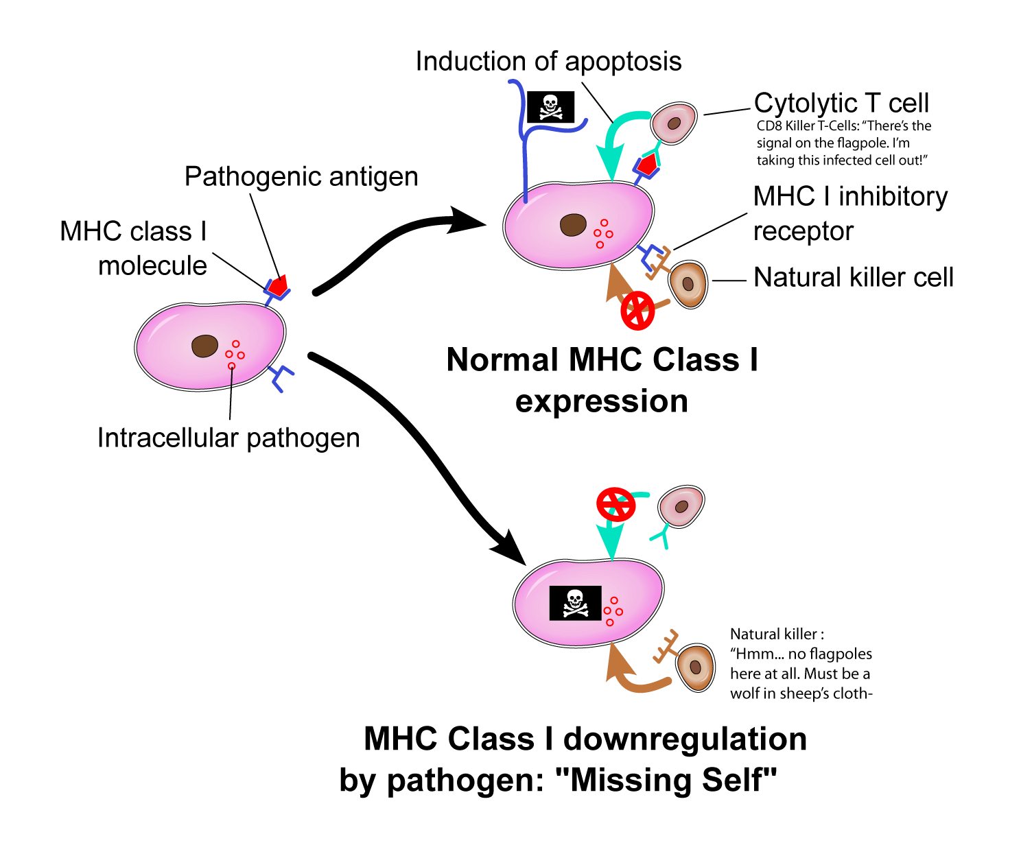 killing bad cells