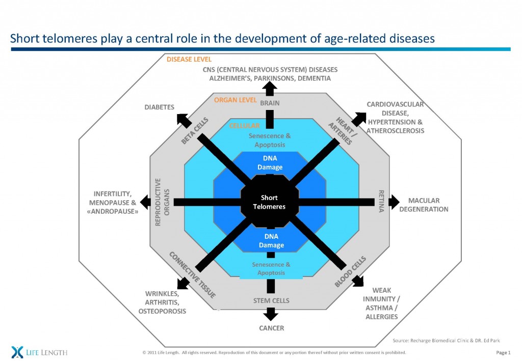 6.2 onediseaseadapted