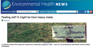 heavy metals