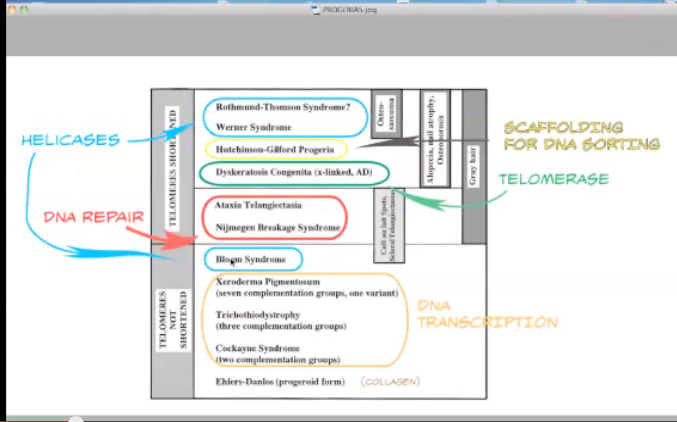 Screen Shot 2015-05-01 at 8.54.48 AM