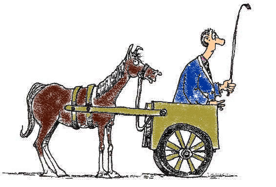 cart-before-the-horse
