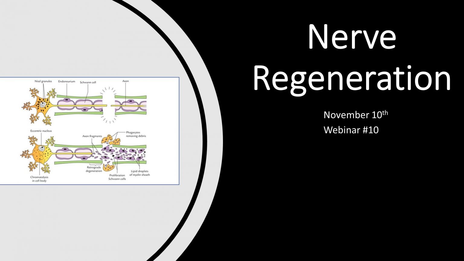 Webinar 11 Nerve Regeneration Recharge Biomedical