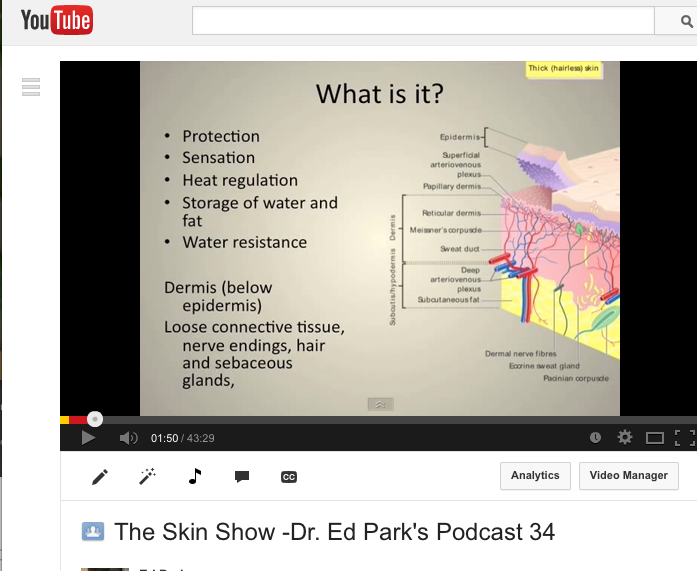PODCAST 34: The skin show