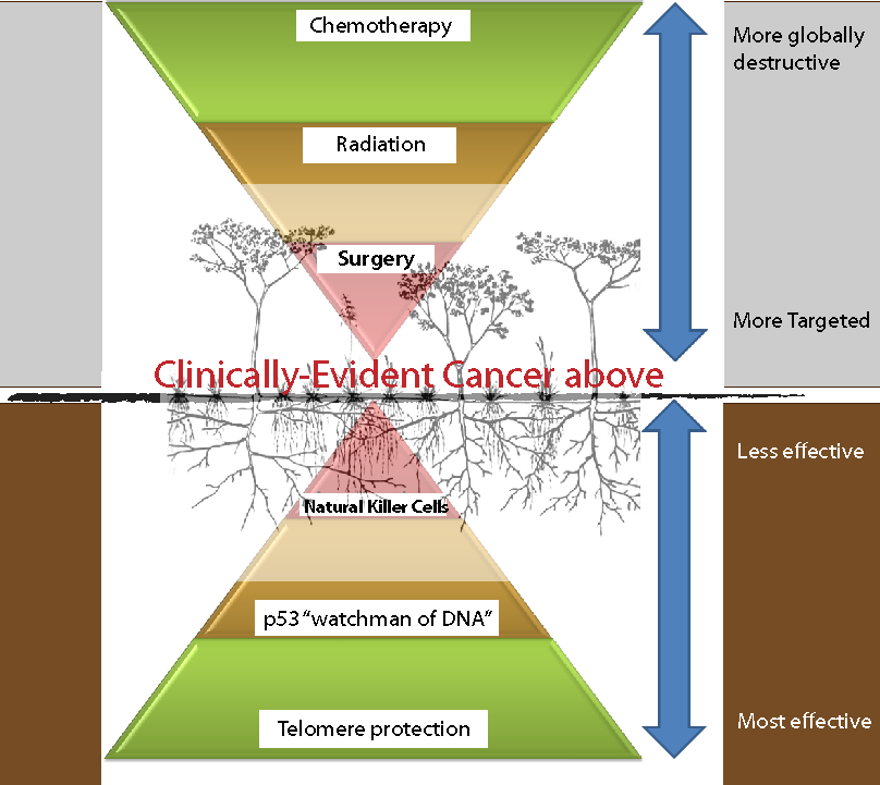 cancer_pyramid