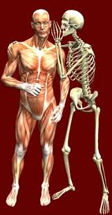 Dada, Dodo or Didi? (or are we “Waiting for GoDead?”) – Recharge Biomedical
