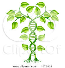 treehelix